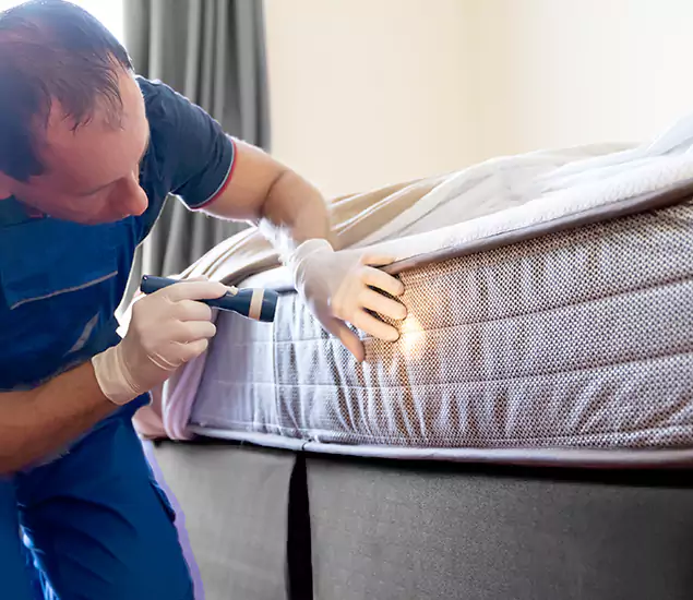 Trusted Bed Bug Cost Experts in Millburn, NJ