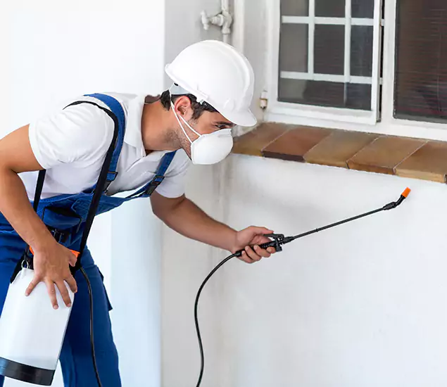 Your Professional Cockroach Exterminator in Millburn, NJ