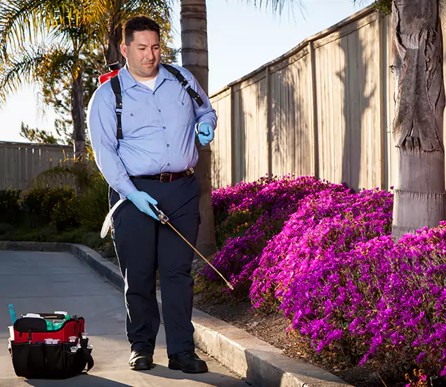 About Our Eco Safe Pest Control Experts in Millburn, NJ