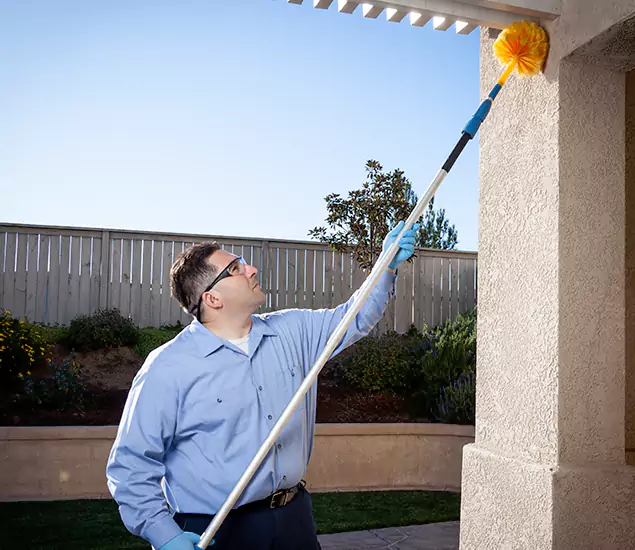 Trusted Experts in Millburn NJ for Formosan Termite Treatment and Black Termite Control