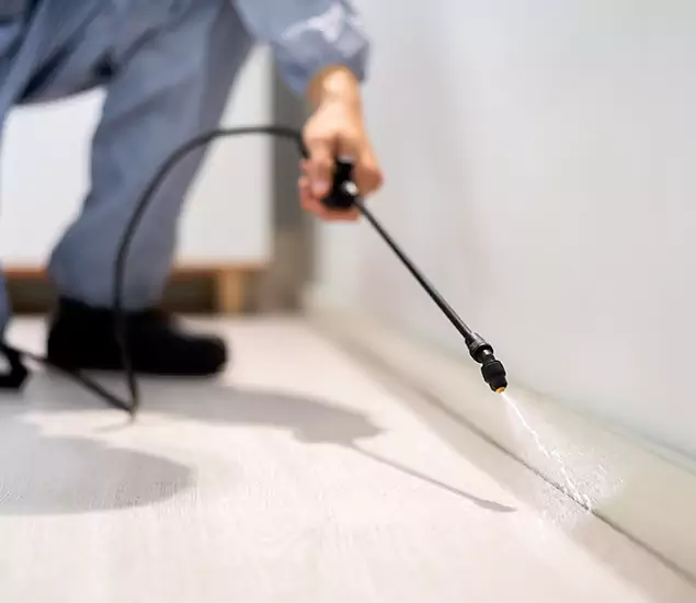 About Our Liquid Termite Treatment Experts in Millburn, NJ