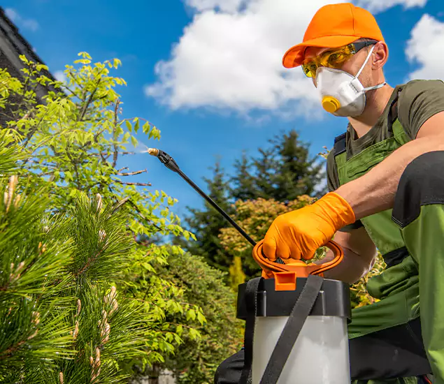 Your Mosquito Repellent Barrier Service in Millburn, NJ