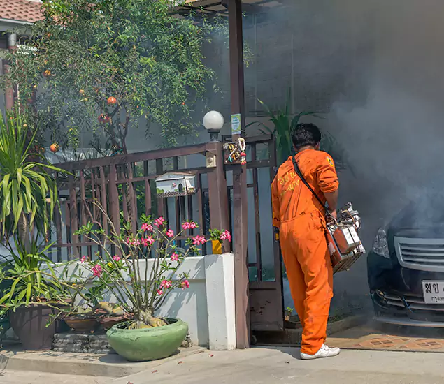 Your Proven Mosquito Fogging Company in Millburn, NJ