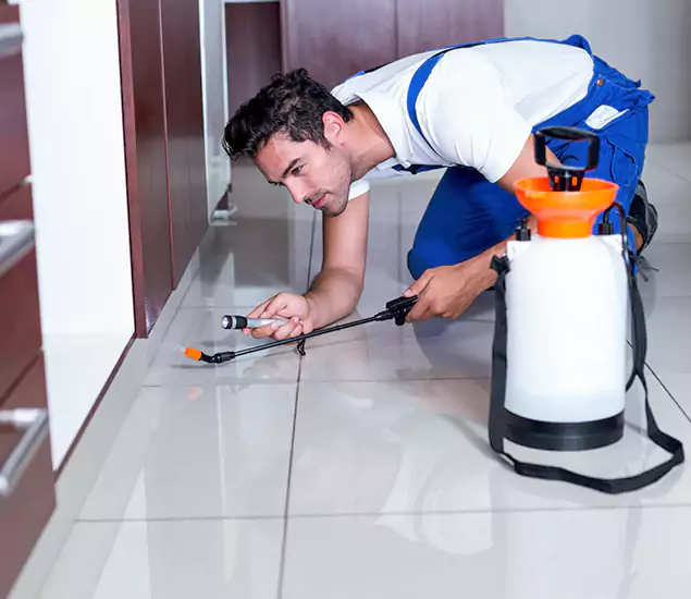 Reliable Professional Mouse Removal: Your Best Mouse Control Company in Millburn, NJ