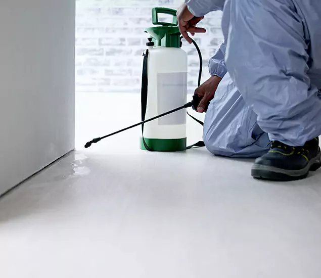 Affordable Pest Control Experts in Millburn, NJ