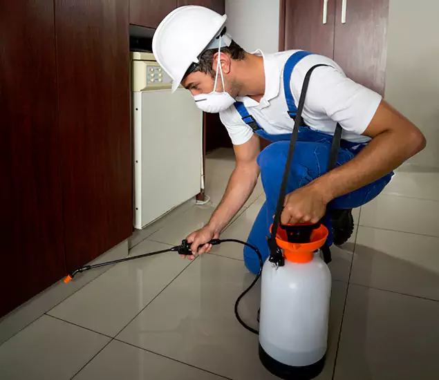 Advanced Termite Pre Treatment Experts in Millburn, NJ