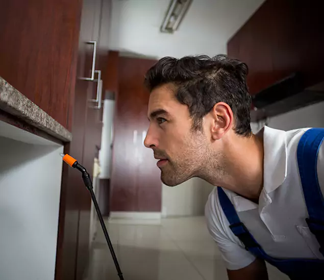 Expert Rodent in Attic Removal: Your Proven Pest Specialists in Millburn, NJ