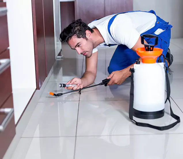 Advanced Slab Termite Treatment Experts You Can Trust&nbsp;in Millburn, NJ