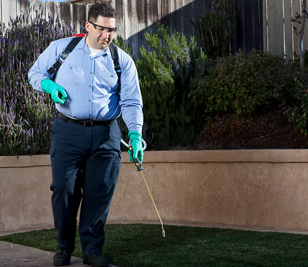Reliable Termite Barrier Treatment Experts in Millburn, NJ