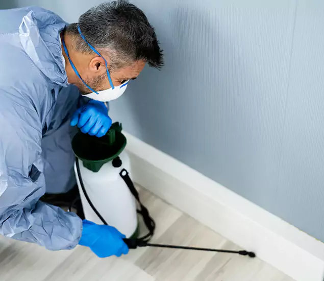 Reliable Termite Cost Experts in Millburn, NJ