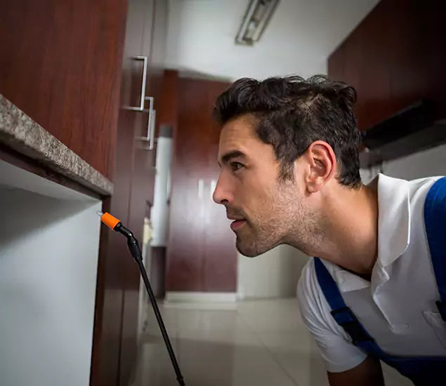 Termite Inspection Cost Experts You Can Trust in Millburn, NJ