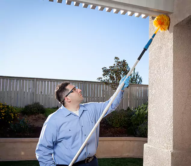 Your Trusted Wasp Removal Company in Millburn, NJ