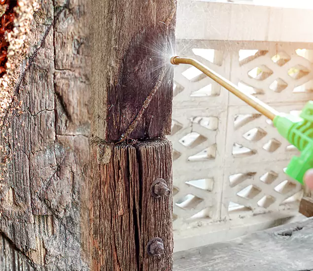 About Wood Termite Treatment Services in Millburn, NJ
