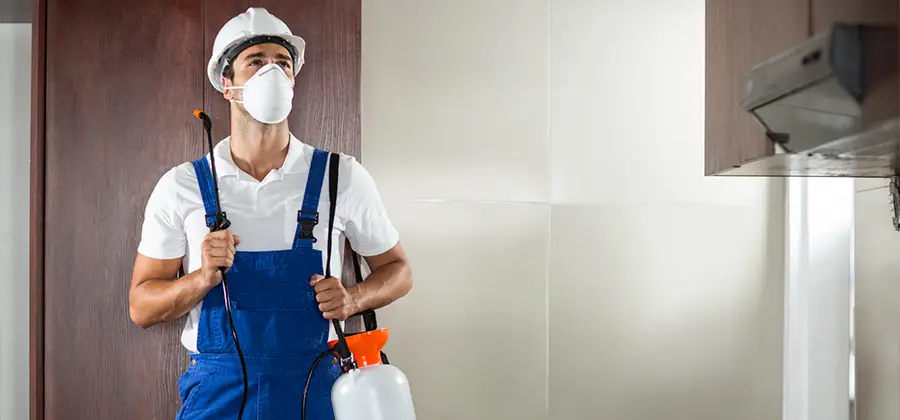 Per Room Bed Bug Cost in Millburn