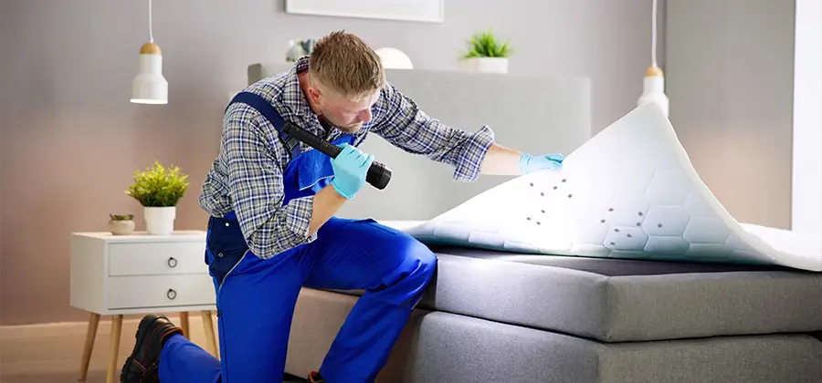 Residential Bed Bug Pest Control in Millburn