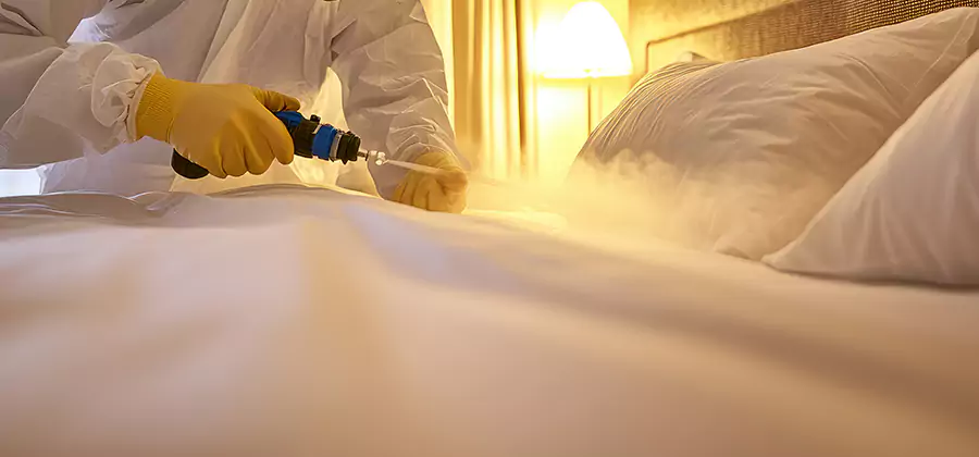 Bed Bug Steam Treatment Services in Millburn
