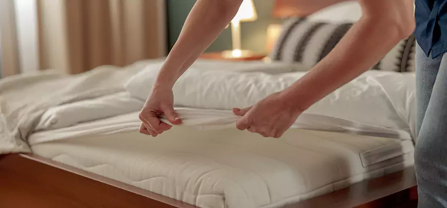 Bed Bug Extermination Services in Millburn
