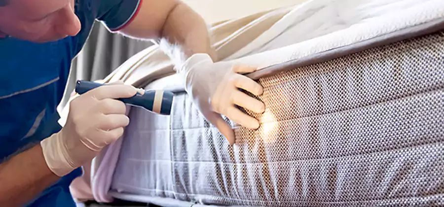 Residential Bed Bug Treatment Cost in Millburn