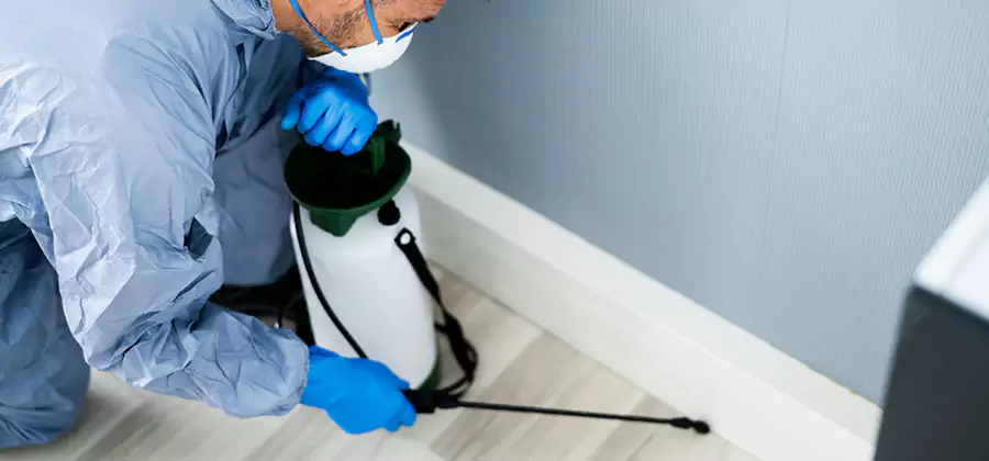 Fumigate Apartment Roaches in Millburn