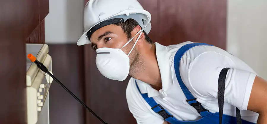 Injection Foam Treatment for Drywood Termites in Millburn