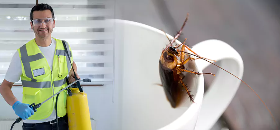German Roach Infestation Treatment Millburn