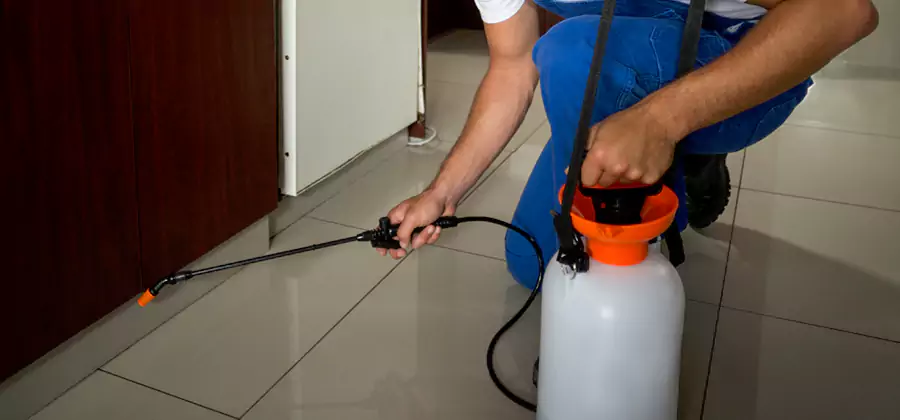 Indoor Mosquito Treatment in Millburn