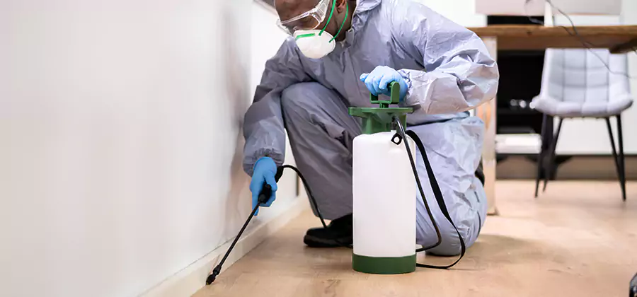 Long Lasting Mosquito Treatment in Millburn