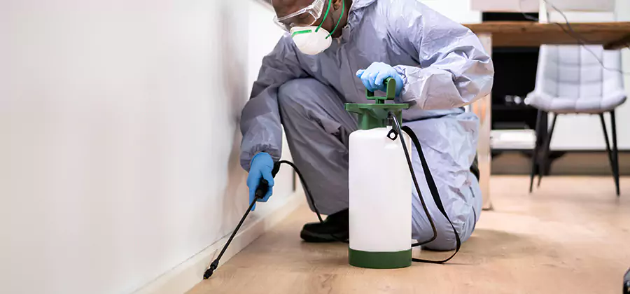 No Tent Termite Extermination With Electric Tool in Millburn