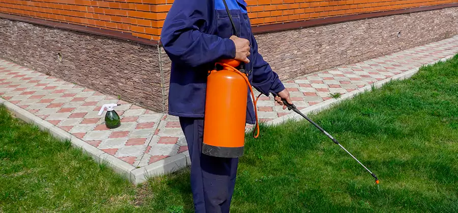 Non Toxic Termite Treatment in Millburn