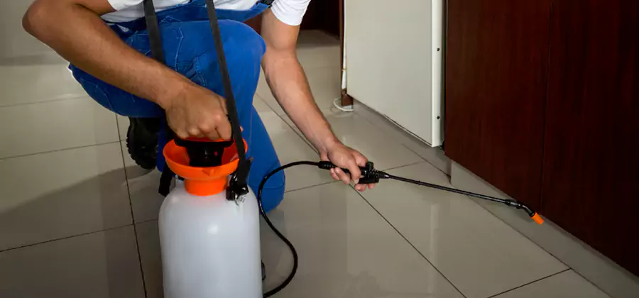 One Time Termite Control in Millburn