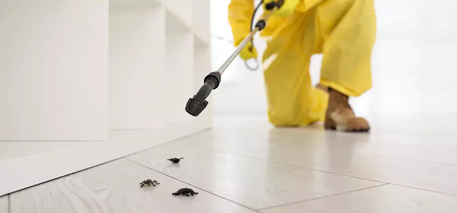 Roach and Bed Bug Exterminator in Millburn
