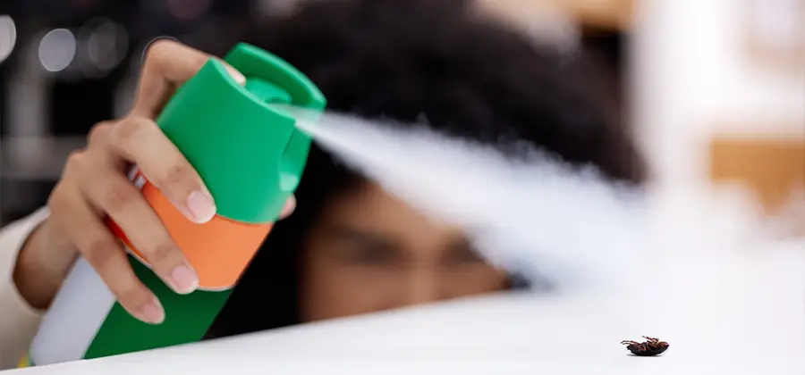 Child Safe Bed Bug Treatment in Millburn
