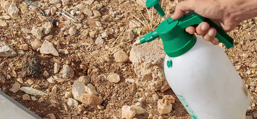 Heat Treatment Termite Cost in Millburn