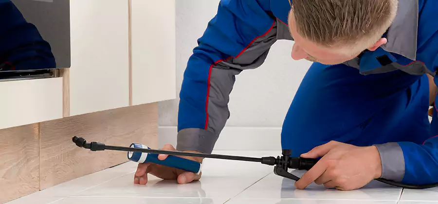 Moisture Treatment For Termite Control Service in Millburn
