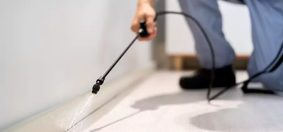 Direct Termite Injection Treatment in Millburn