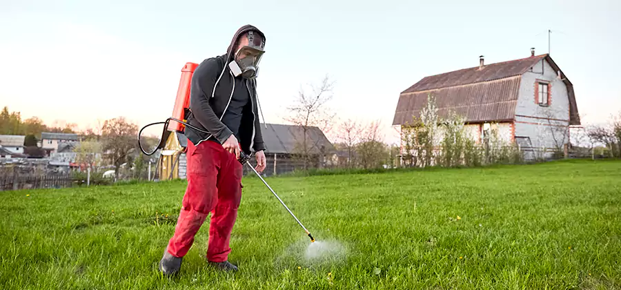 Flea and Tick Pest Control in Millburn