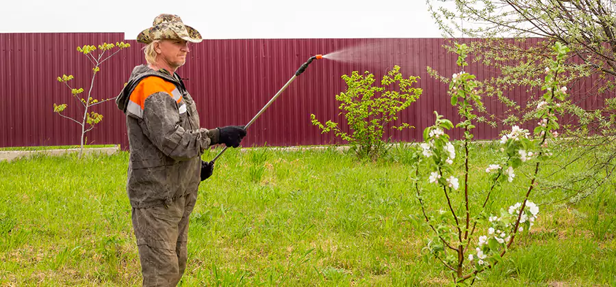 Flea and Tick Spray for Yard in Millburn