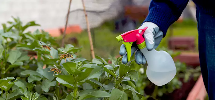 Yellow Jacket Pest Removal for Commercial Properties in Millburn