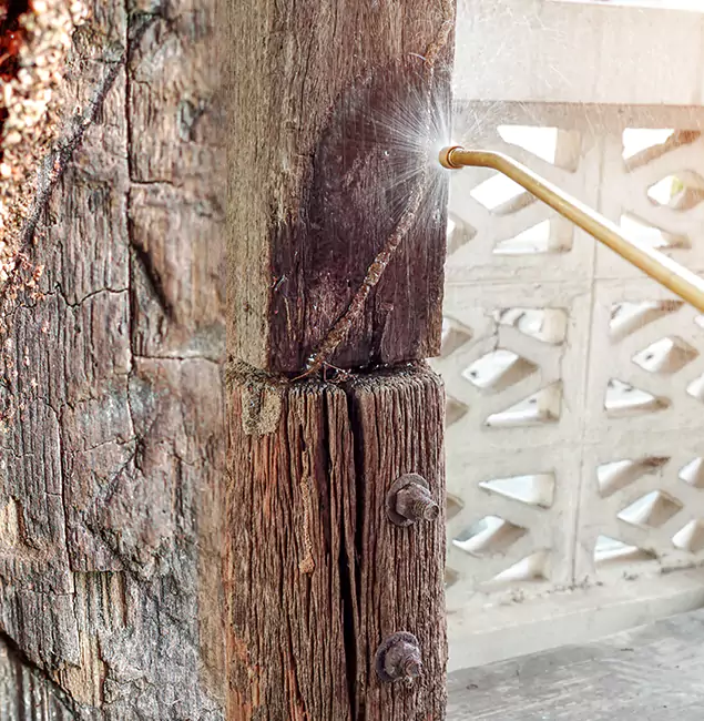 Why Choose Millburn Pest Control Pro for Attic Termite Treatment in Millburn, NJ?