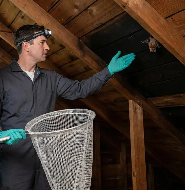Why Millburn Pest Control Pro Is the Right Choice in Millburn, NJ?
