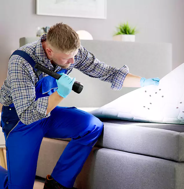 Why Choose Millburn Pest Control Pro for Bed Bug Exterminator Cost in Millburn, NJ?