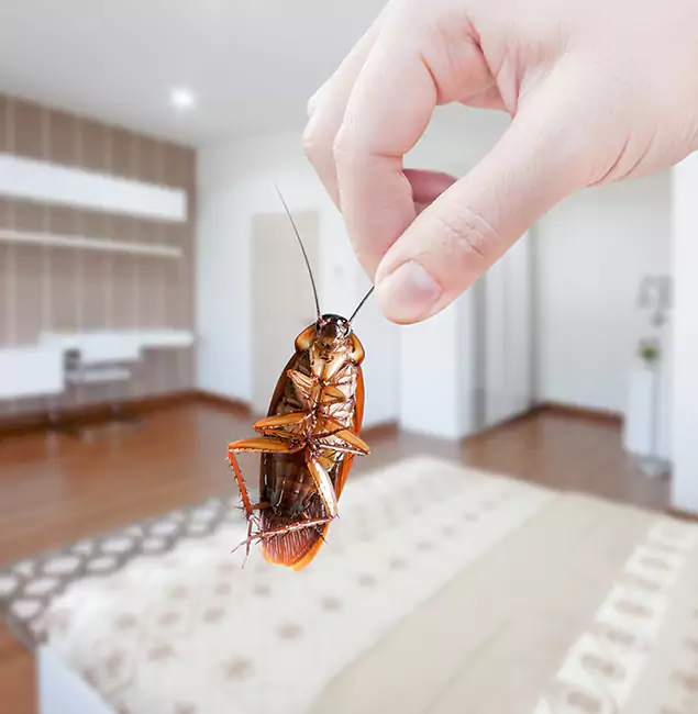 Why Millburn Pest Control Pro Stand Out for Bed Bug Fumigation in Millburn, NJ?