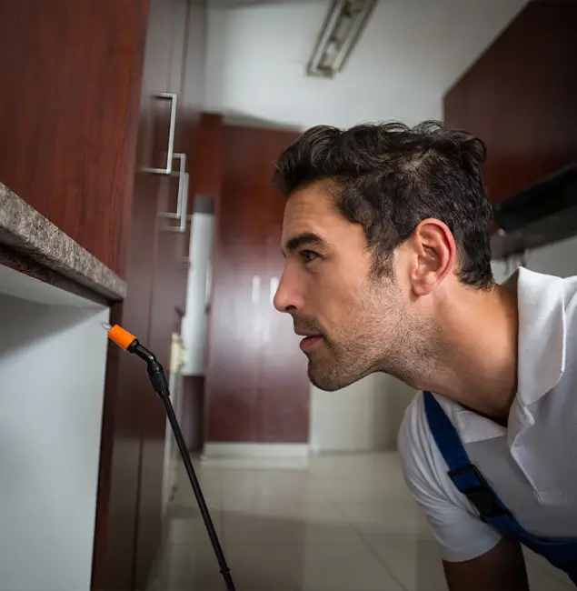 Why Choose Millburn Pest Control Pro for Bed Bug Removal Cost in Millburn, NJ?