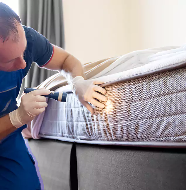 Why Choose Millburn Pest Control Pro for Bed Bug Services in Millburn, NJ?
