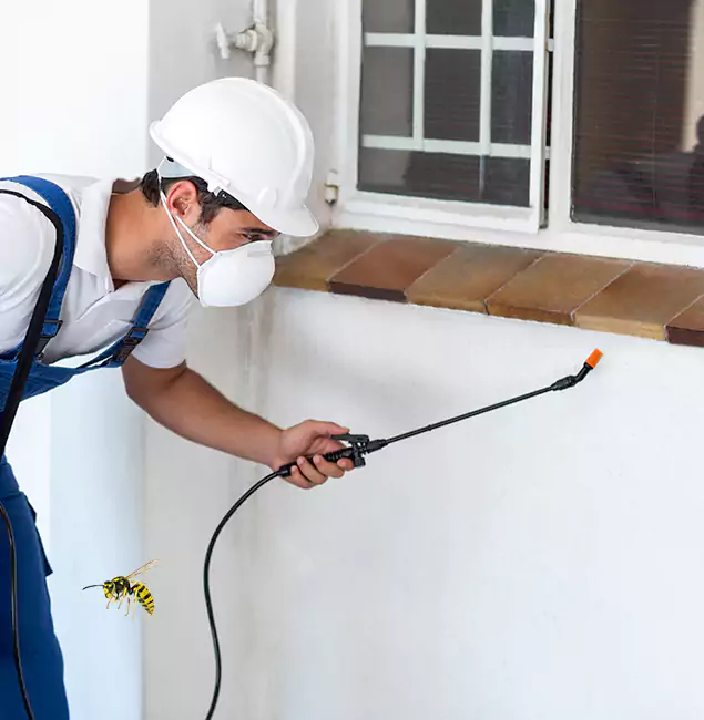 Why Millburn Property Owners Choose Millburn Pest Control Pro for Bee Nest Removal?