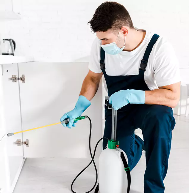 Why Choose Millburn Pest Control Pro for Emergency Pest Control in Millburn?