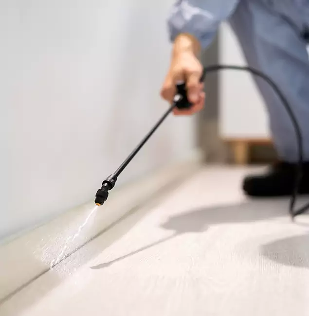 Why Choose Millburn Pest Control Pro for Termite Treatment in Millburn, NJ?