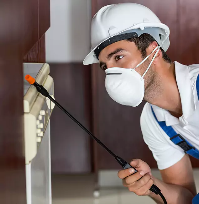 Why Millburn Homeowners Rely on Millburn Pest Control Pro for Tick Treatment?