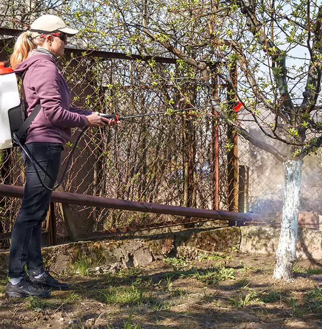 Why Millburn Homeowners Choose Millburn Pest Control Pro for Mosquito Abatement?