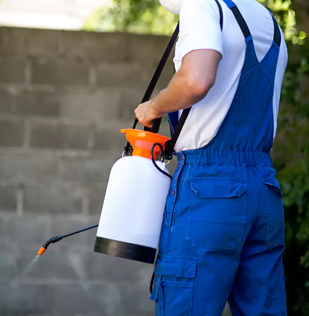Why Millburn Homeowners Rely on Millburn Pest Control Pro for Mosquito Control?